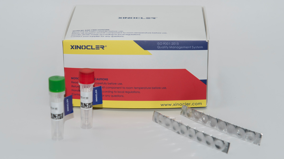 Tomato Black Ring Virus (TBRV) RNA Nucleic Acid Test Kit (PCR-Fluorescent Probe Method, GB Standard) - Image 3